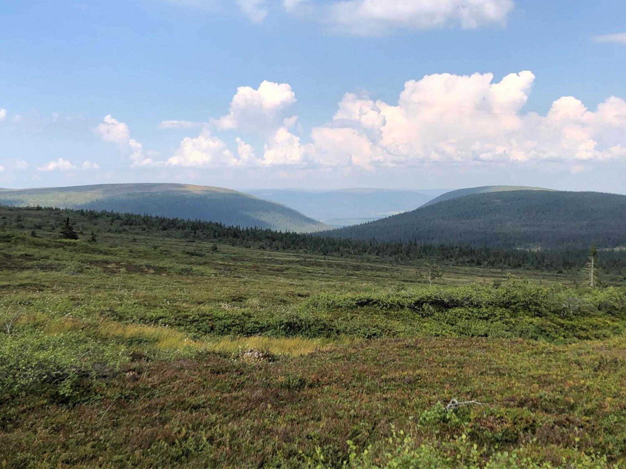 Mountain Lodge Стьотен Екстер'єр фото